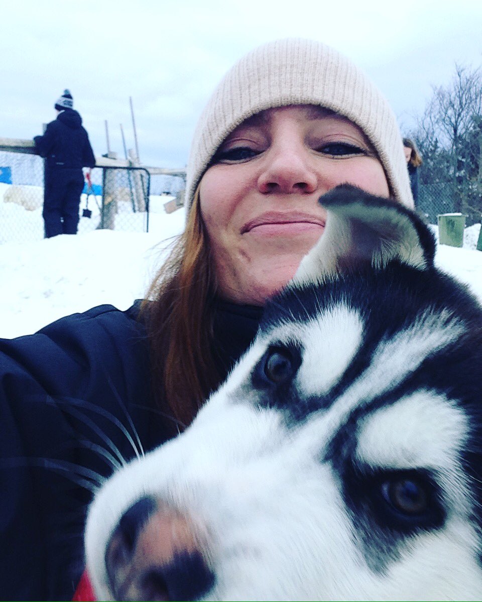 emmasssson's tweet photo. When you're a #husky and you need to be in the photo 😘 #iledorleans #Quebec #Canada #wildlife https://t.co/JdZOCBrtR4