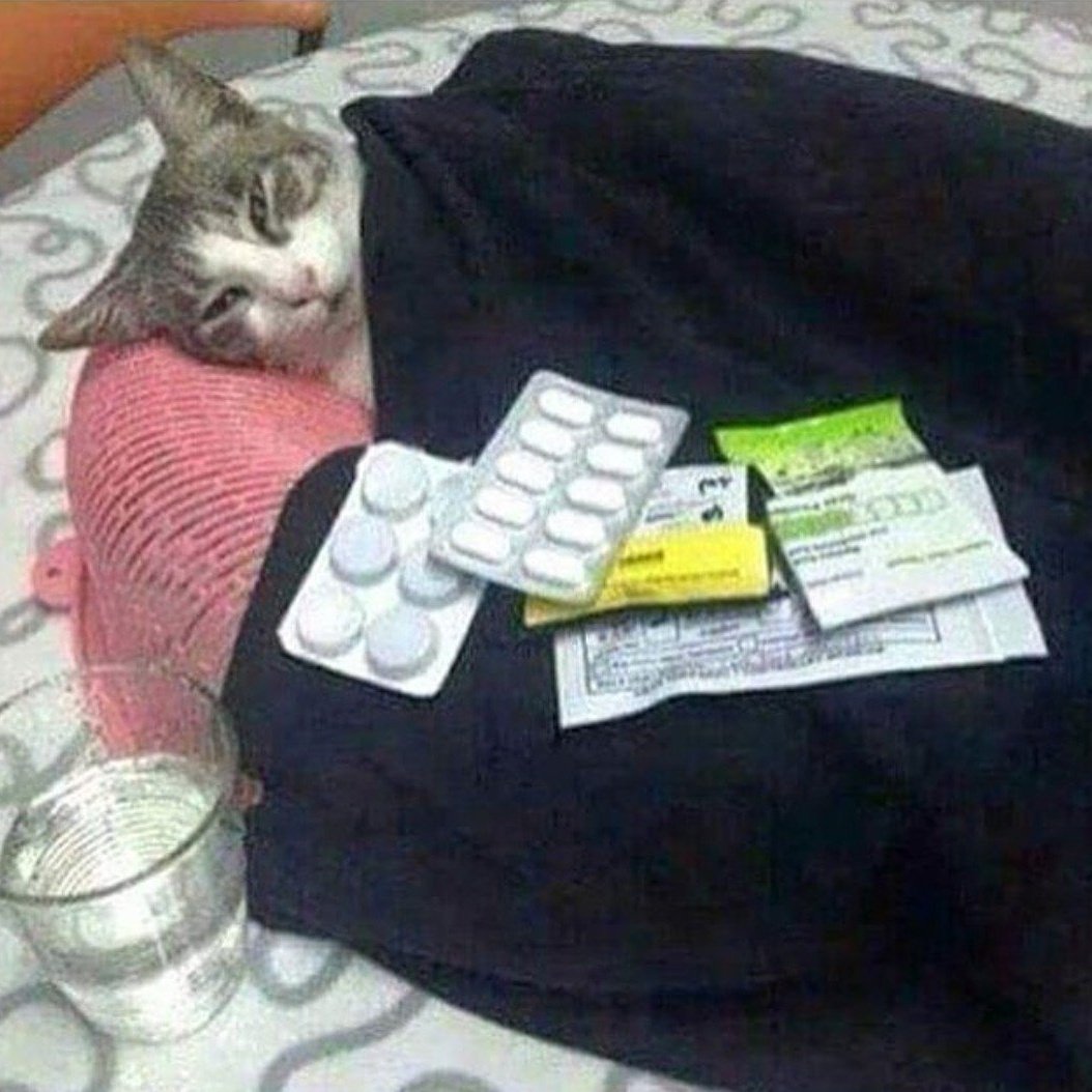 Кот болеет Мем