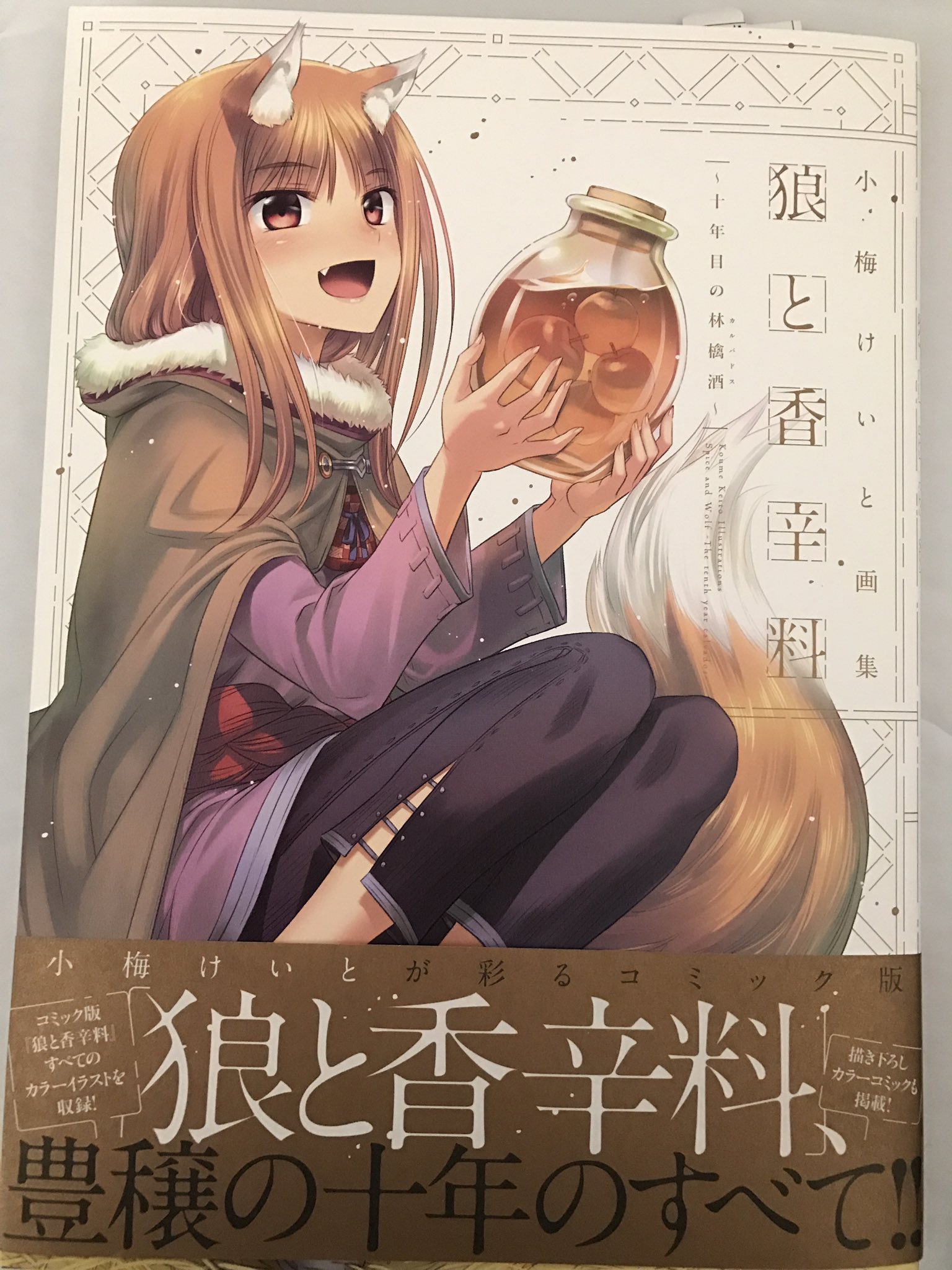 小梅けいと　直筆サイン　ライアーソフト　サフィズムの舷窓　天京院鼎　狼と香辛料 Amazon.co.jp: 狼と香辛料 愛蔵版 1 : 小梅 けいと, 支倉 凍砂