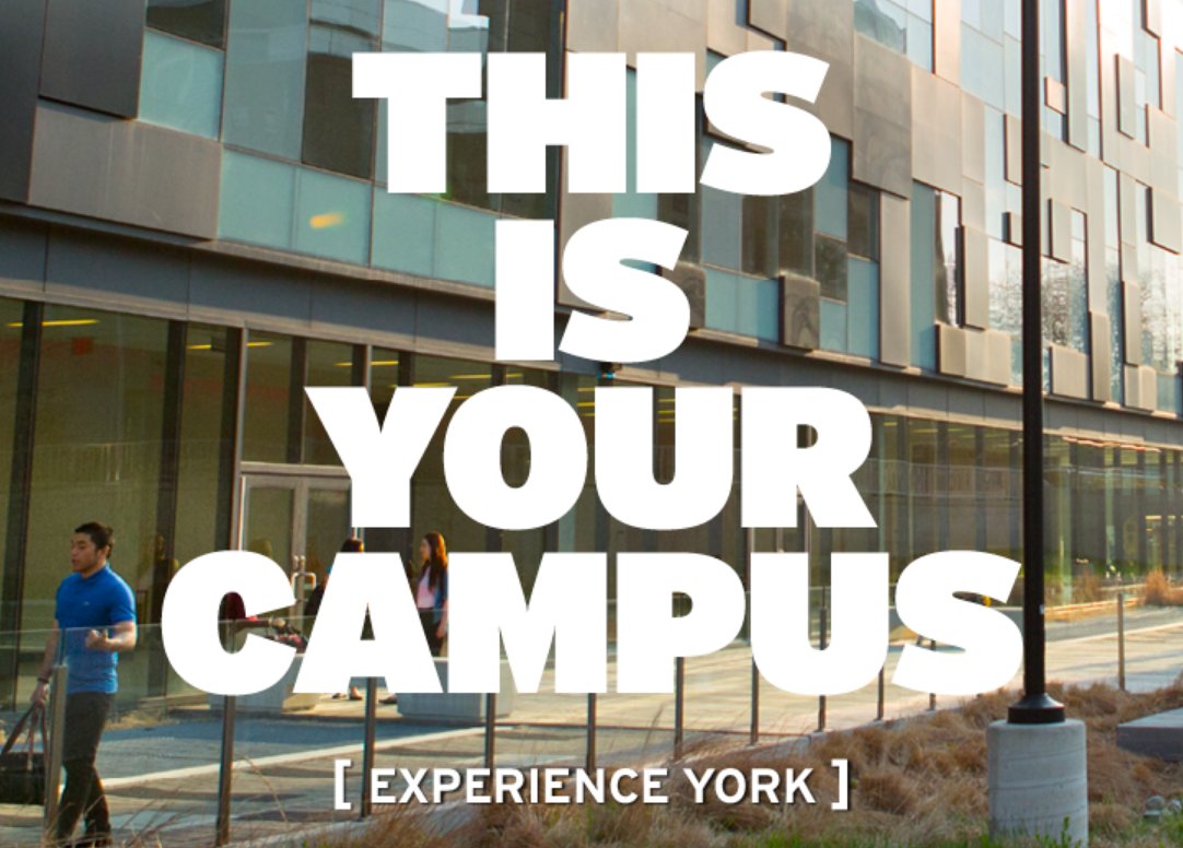 YUVisit's tweet photo. Fun fact: former Finance Min. @Greg_Sorbara is Chancellor of #YorkU. Learn more @ Experience York Days. https://t.co/XLTe6ECIRv #onpoli #olp https://t.co/ZEkRapKVNJ