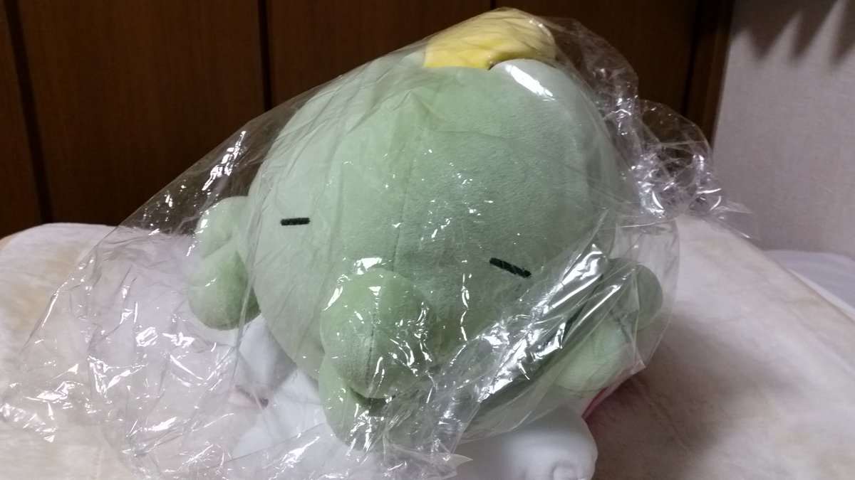 とっぽる בטוויטר アマゾンから もちふわゴクリンクッション と すやすやミズゴロウぬいぐるみ が届いた ゴクリンは一番好きなポケモンだからと足の上に置くクッションが欲しかったから ミズゴロウは3世代の御三家で一番好きだからとベッドに合ういい大きさの とっぽる בטוויטר アマゾンから もちふわゴクリンクッション と すやすやミズゴロウぬいぐるみ が届いた ゴクリンは一番好きなポケモンだからと足の上に置くクッションが欲しかったから ミズゴロウは3世代の御三家で一番好きだからとベッドに合ういい大きさの