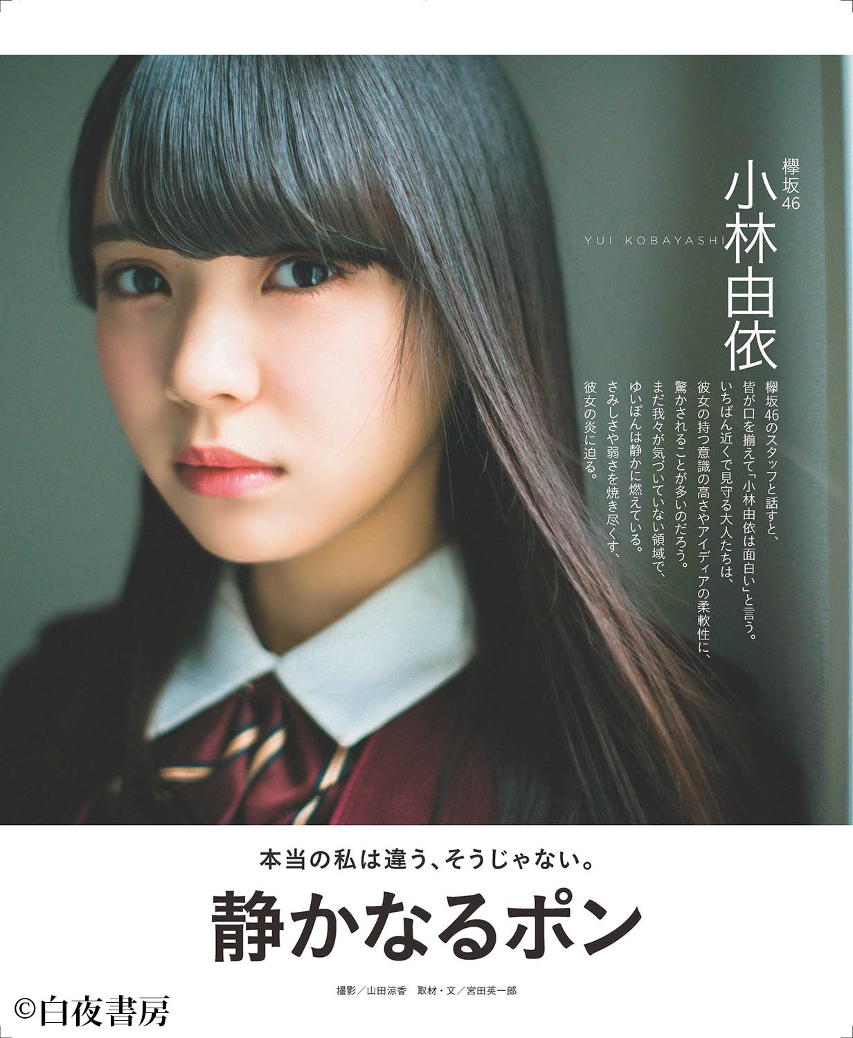ブブカ編集部 A Twitter Bubka にて 欅坂46 小林由依さんのソロインタビューを掲載しております なんとこのインタビュー ぽんかんさつの第一人者である織田奈那さんにブログで宣伝していただきました 他のメンバーの記事を宣伝をしてもらうなんて史上初です 本当に ブブカ編集部 A Twitter Bubka にて 欅坂46 小林由依さんのソロインタビューを掲載しております なんとこのインタビュー ぽんかんさつの第一人者である織田奈那さんにブログで宣伝していただきました 他のメンバーの記事を宣伝をしてもらうなんて史上初です 本当に