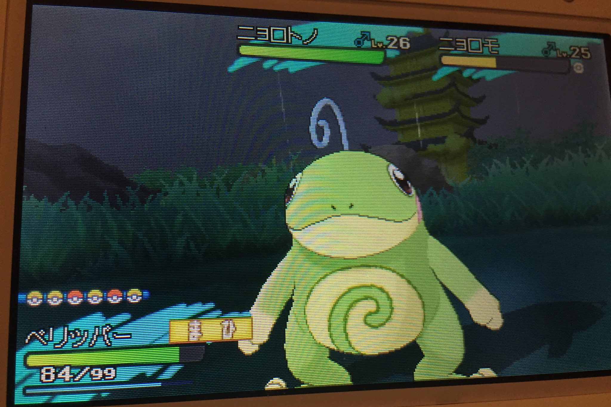 黒崎れおん やっとキターーー 野生のニョロトノ ポケモンサンムーン ニョロトノ T Co Rq2uknacth Twitter
