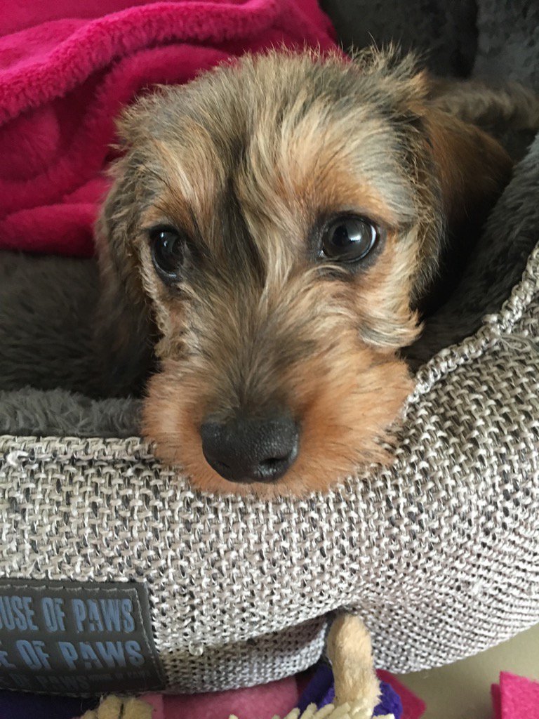 Meet Martha our new addition!
She's very sweet and the girls love her to bits. Have a great Thursday Tone xx