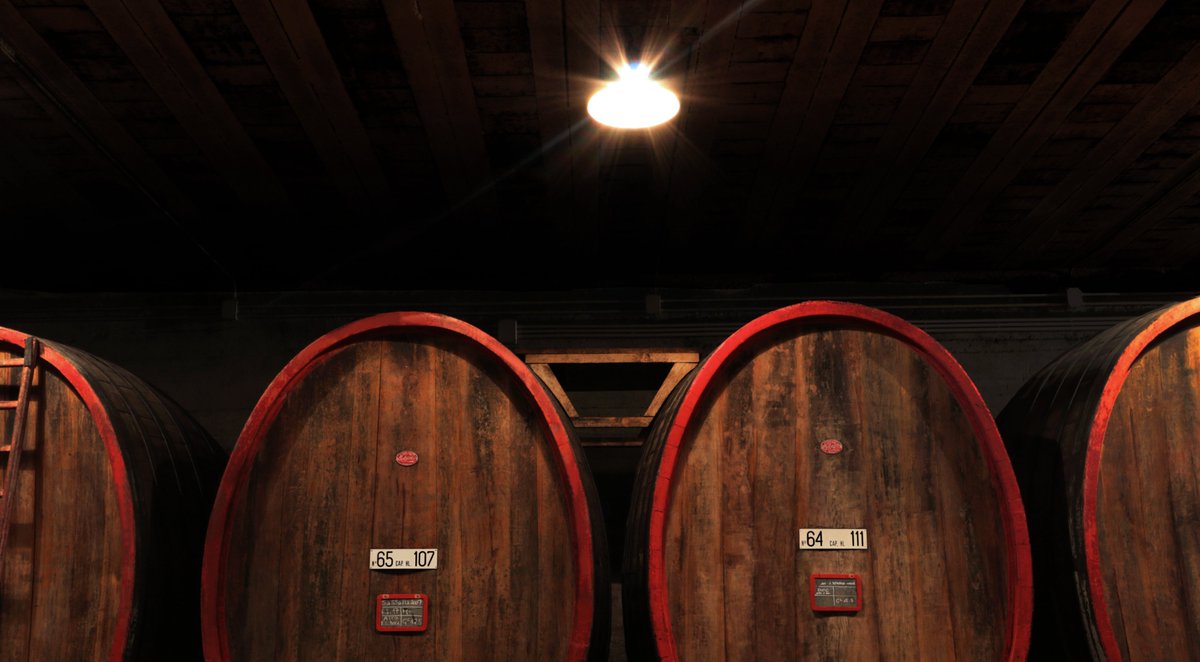 ViniBalgera's tweet photo. Renovation works of the 1970 cellars are going on !!! https://t.co/cPKMjg0MBI