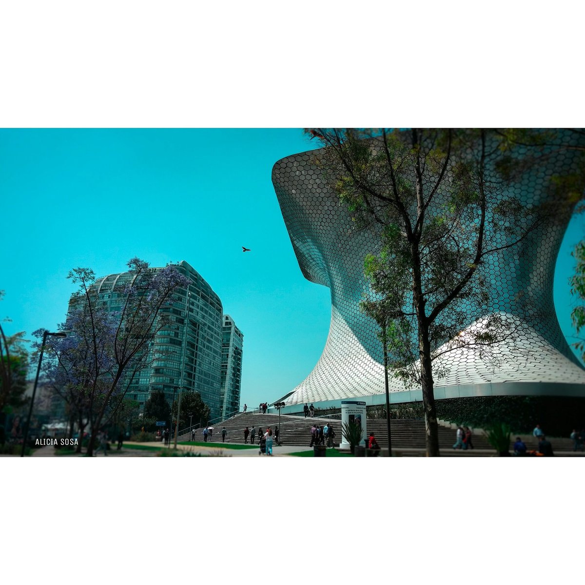 AliciaSosa_19's tweet photo. |• El mejor de los viajes es el próximo•| 👌🤘✌
📱
 #travel #ig_mexico #Viajar  #Turismo  #turismo_mexico32  #CapturaMexico #cdmx #polancodf https://t.co/dzd2yp6rIB