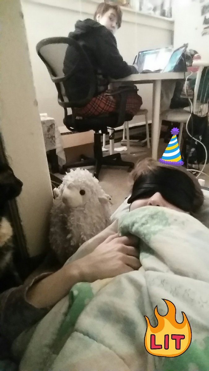 the_bowen_arrow's tweet photo. I made myself a nest while I wait until beeb's ready for bed 😌💜 #bedtime #forbears @Punch_chinsky https://t.co/yQ2crOBxOp