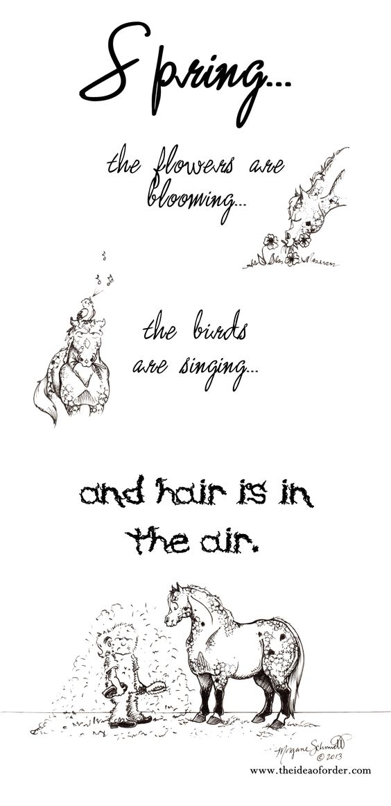 StanceEquine's tweet photo. Happy first day of Spring!  https://t.co/OAgaHQQYd5 https://t.co/VvlSAqjxIf