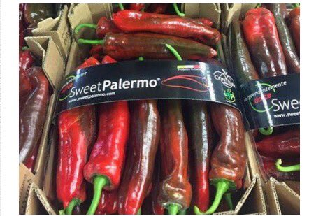 <a href="/SweetPalermo/">SweetPalermo</a> también crece en Italia freshplaza.es/article/104607…® <a href="/rijkzwaanES/">Rijk Zwaan ES</a>