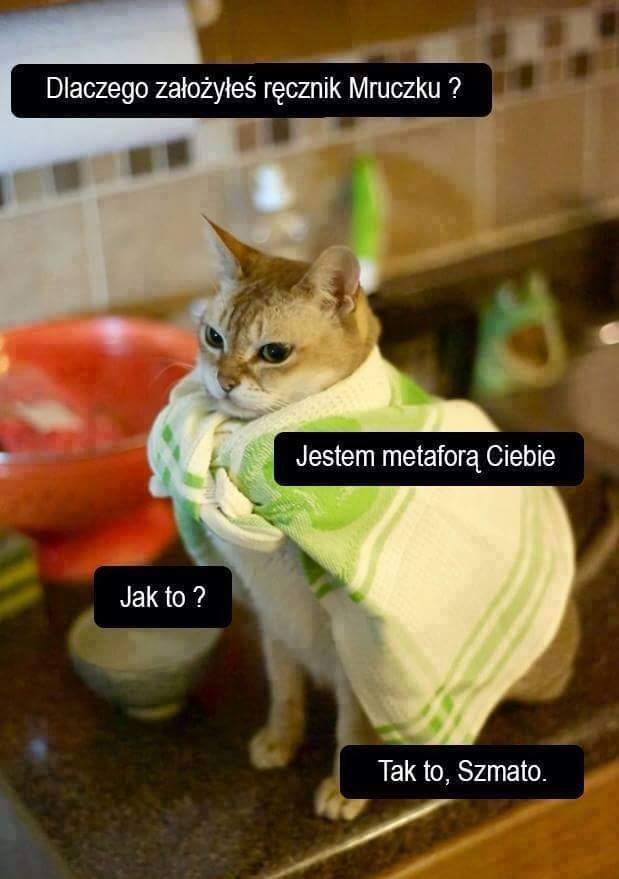 C55O0AMWQAA4g0h.jpg:large