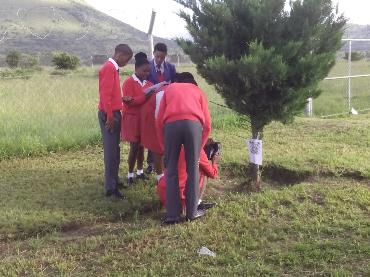 BerghLoren's tweet photo. Scavenger hunt fun! #englishcanbefun#gapschools#ict4red https://t.co/W6WrpakQEj