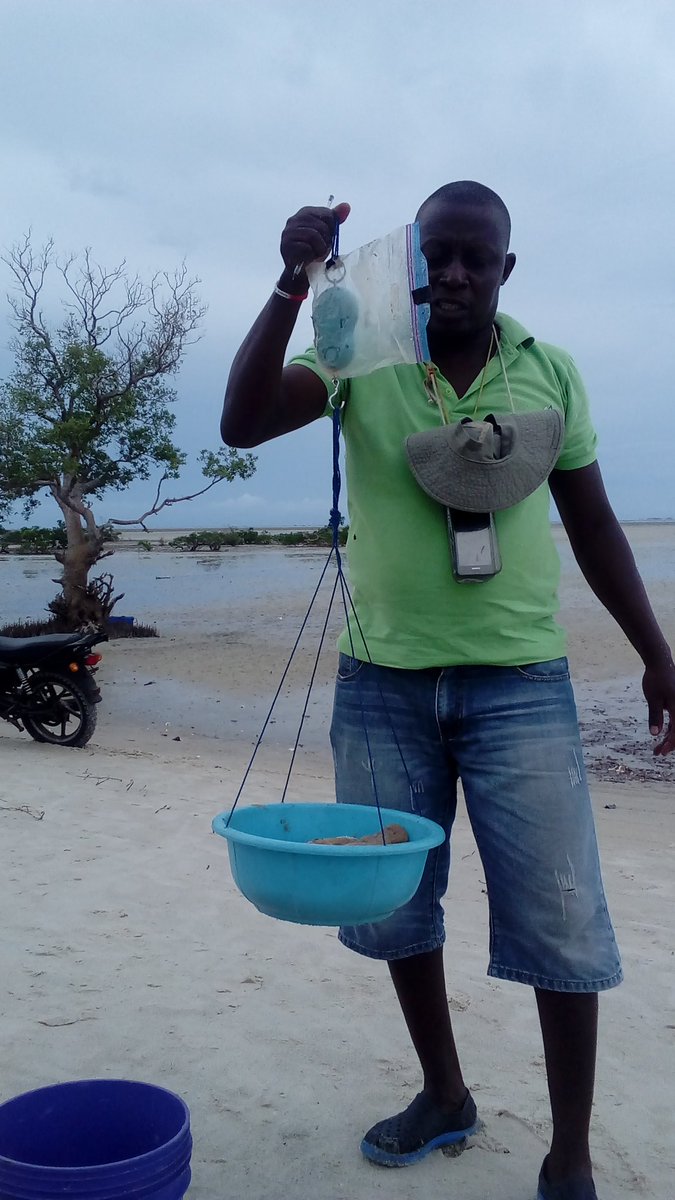JeremyHuet1's tweet photo. Catch survey in Malinde @anamariguesa @Darwin_Defra @ZSLMarine @HeatherKoldewey @fndtn_Ensemble https://t.co/c1HfZU4S0x