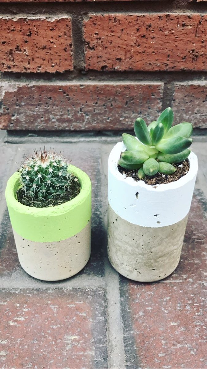 PlantShopManchester tweet media