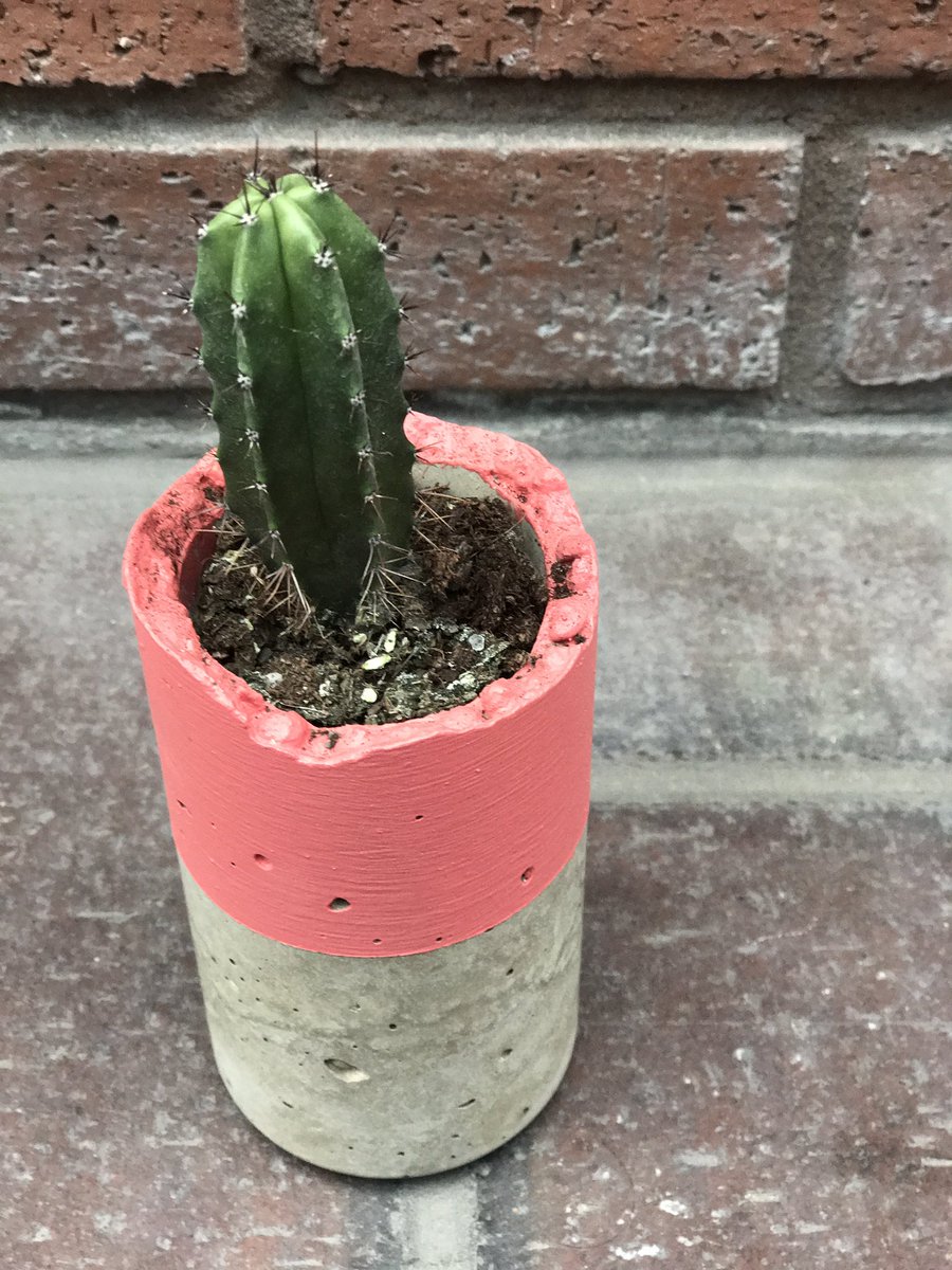 PlantShopManchester tweet media