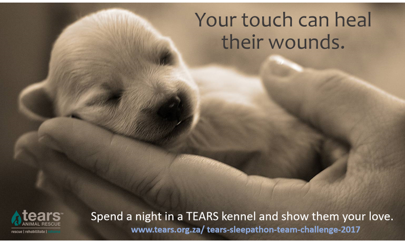 Spend a night in a kennel with a rescue dog or cat and show them you care. Sign up for TEARS Sleepathon: tears.org.za/tears-sleepath… <a href="/liezelv/">Liezel V 🦒</a>