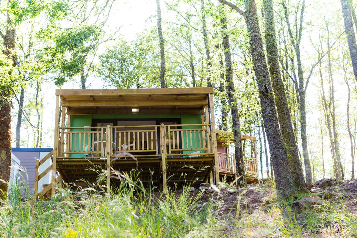 SelectcampIT's tweet image. L'intimità di una suite d'albergo, in un esclusivo alloggio glamping! La caratteristica Cubesuite di @SelectcampIT!
selectcamp.it/strutture/cube…