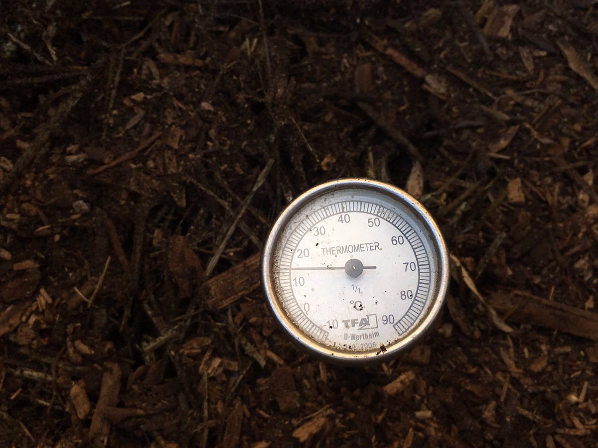 APIAtaldea's tweet photo. The temperature after having mixed the compost. #COMPOSTLAB @NSPC_I https://t.co/2yIlRhbWIl