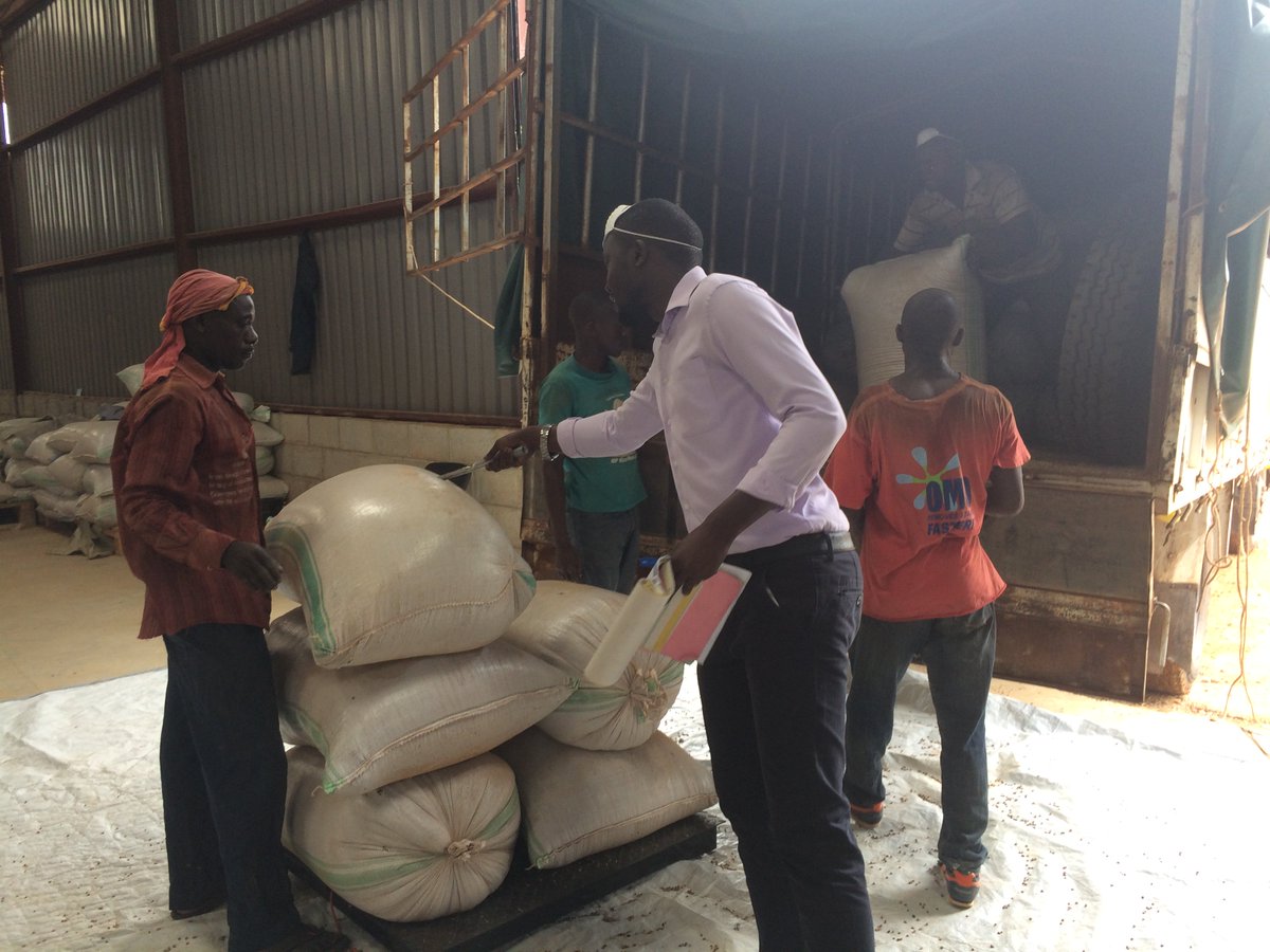 nucafeug's tweet photo. Offloading and picking #Coffee samples at Namanve #cafe of @NUCAFE95. #coffeestock #coffeedate #Twitter #AgribusinessTalk254 #loading https://t.co/iVI7HwICU0
