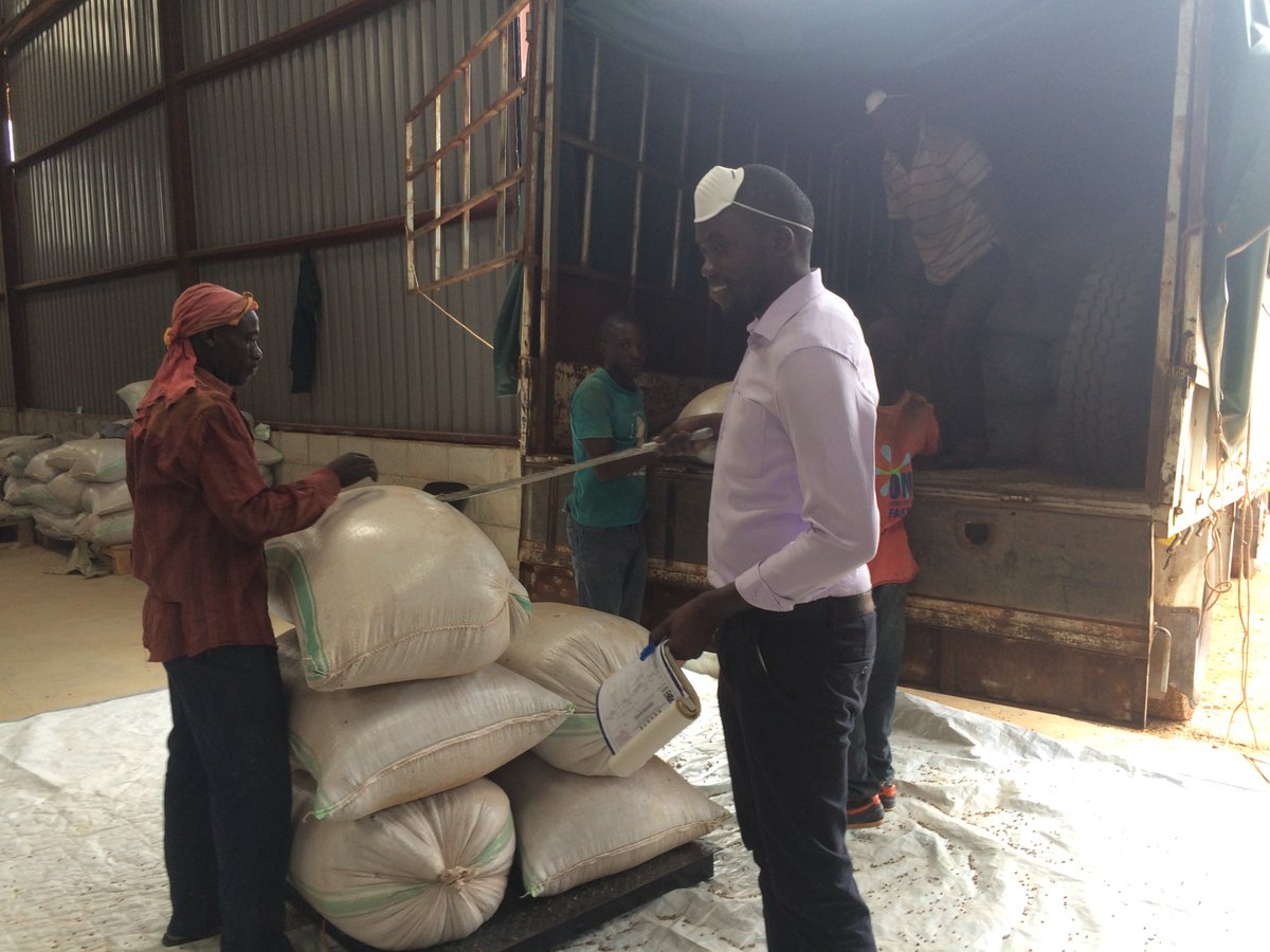 nucafeug's tweet photo. Offloading and picking #Coffee samples at Namanve #cafe of @NUCAFE95. #coffeestock #coffeedate #Twitter #AgribusinessTalk254 #loading https://t.co/iVI7HwICU0