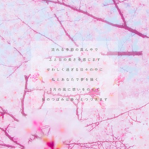 berry_milk_'s tweet photo. 明日でばいばい。今までありがとう
先輩のおかげで毎日楽しかったです。 https://t.co/1wCPmZtTHT