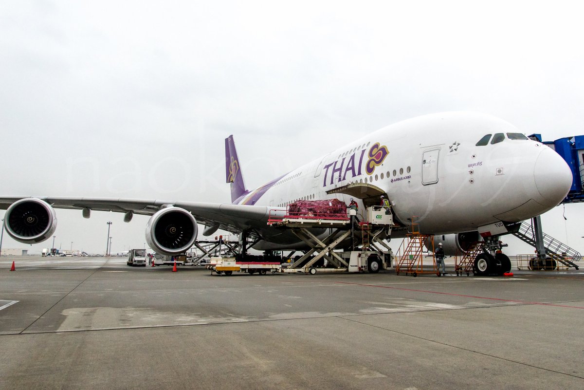 naokovsky99's tweet photo. March 2, 2017 #TG644 #TG645 #Centrair #セントレア #中部国際空港 #Chubu #RJGG #ThaiAirways #タイ航空 #タイ国際航空 #TG #THA #A380 #Airbus #aviation #airplane https://t.co/Ua42LEnC5O