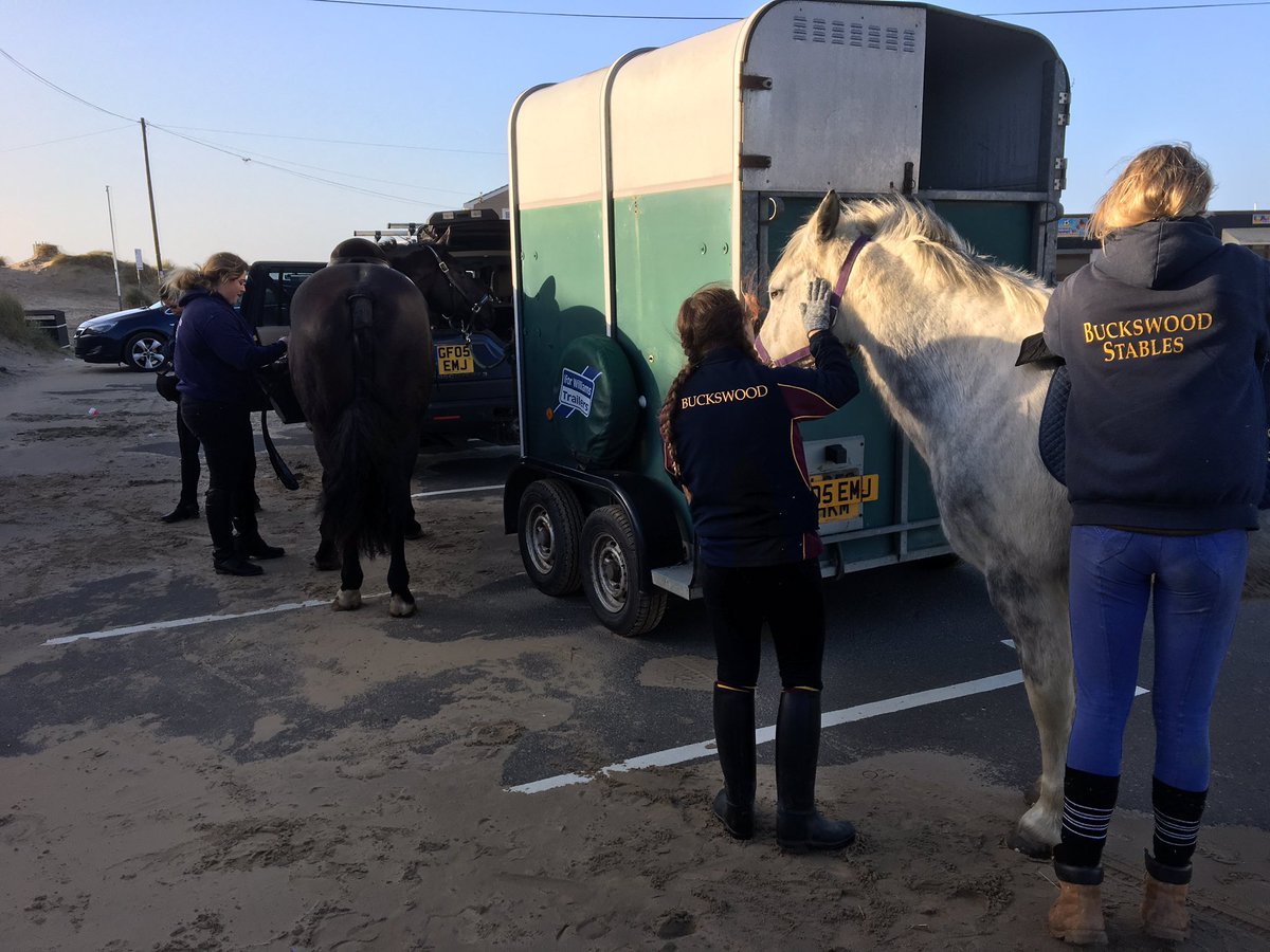ScienceatBucks's tweet photo. @BucksHorses @Buckswood_UK @ the beach today https://t.co/mBS4RzHLWG