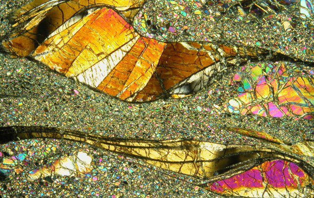 Sally Gibson tweet media