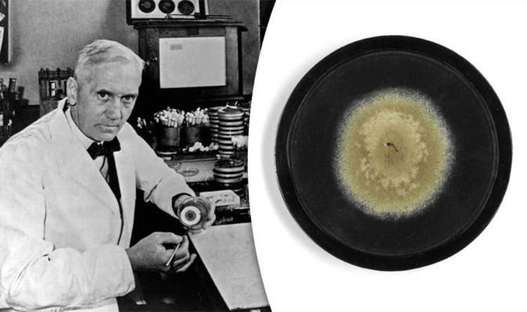 The #mould that saved 200 million lives, for sale £6k at auction buff.ly/2ma7y60