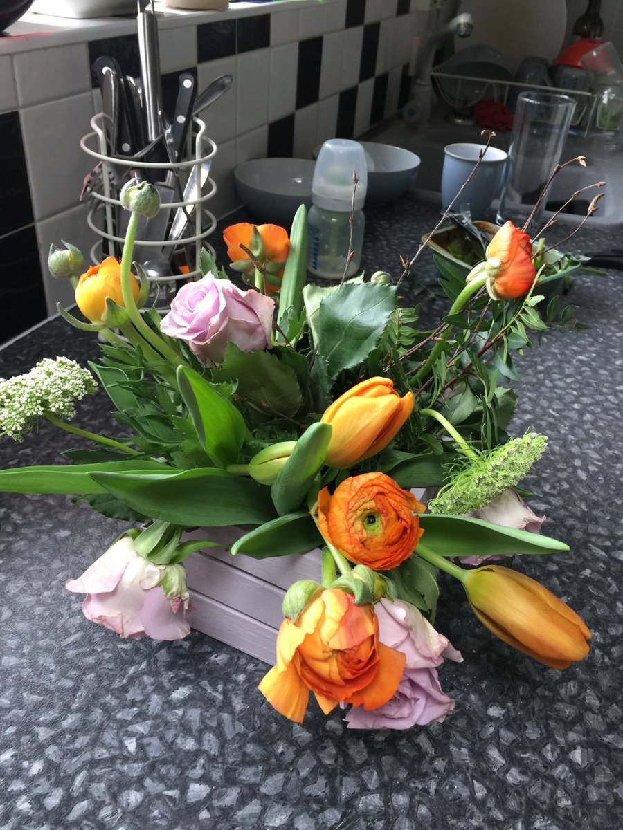 Hicksyjen's tweet photo. @nextofficial your image, what you actually sent, and the replacement after I complained! dead flowers removed from both #nextflowers #poor! https://t.co/KKjvmlhiPR