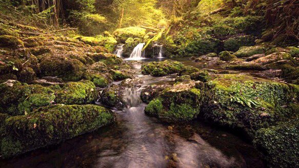 senderosrurales's tweet photo. #Cascadas de #Obaya #Colunga zona conocida por la variedad de #plantas y #helechos considerados únicos en gran parte de #Europa. #Asturias https://t.co/B37UFQwINJ
