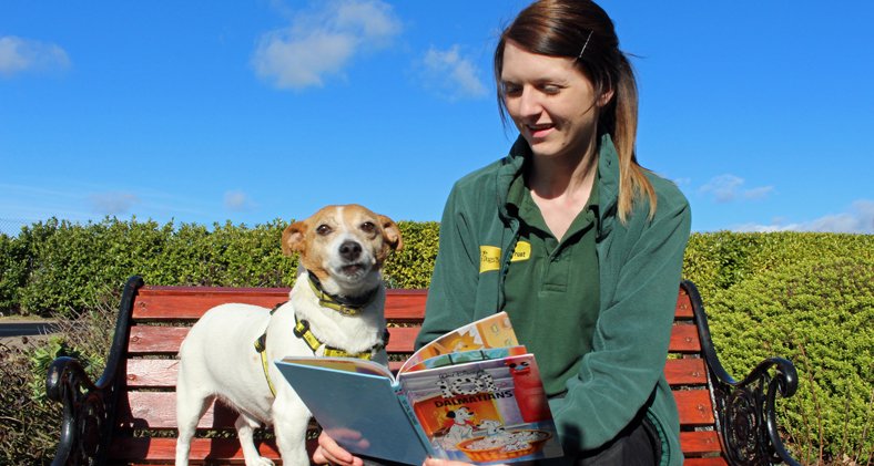 DogsTrust tweet picture