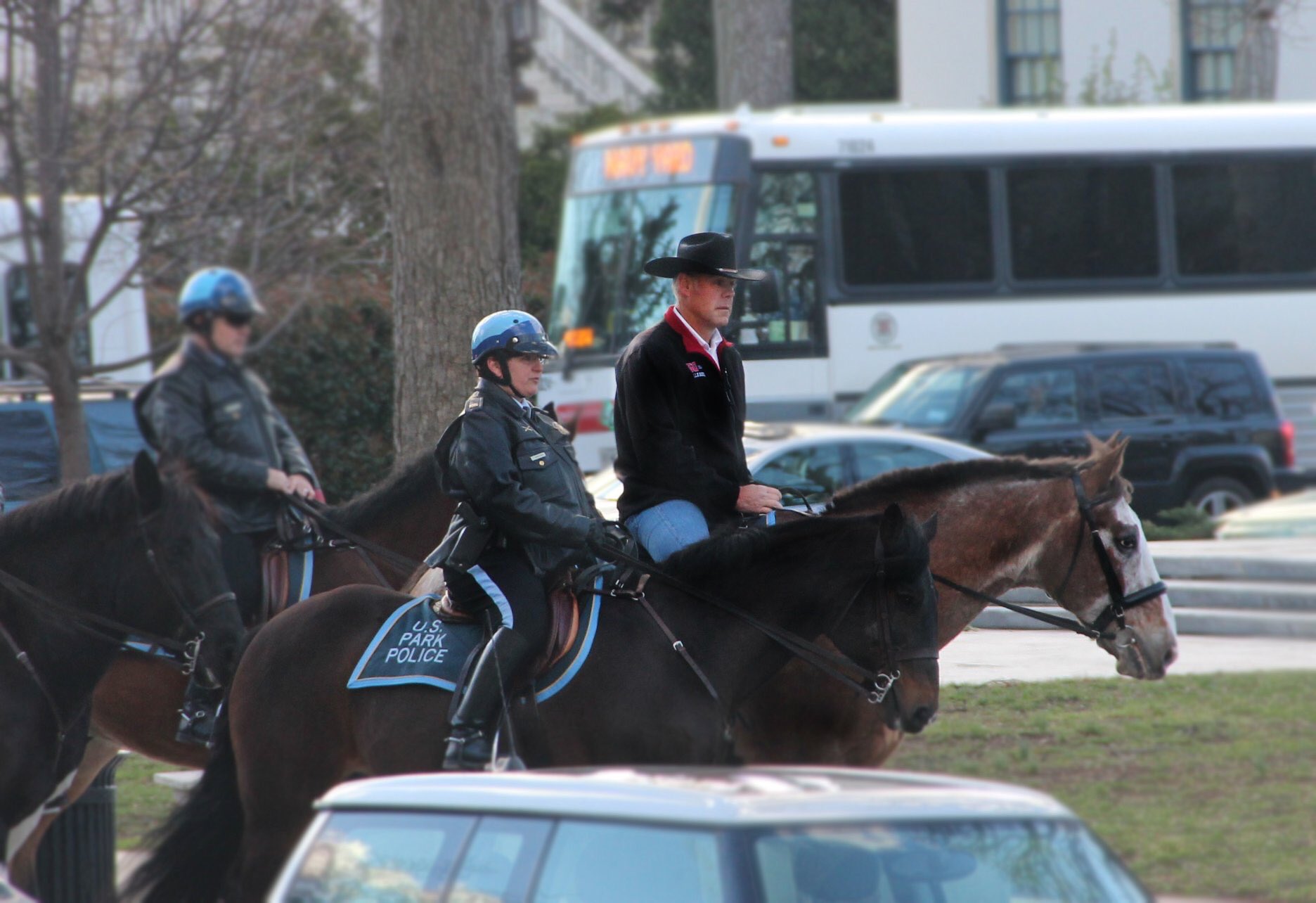 politics secretary ryan zinke horse interior politics secretary ryan zinke horse interior