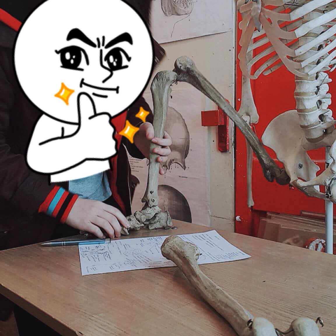 i've meet a lot of nice skeletons last year 