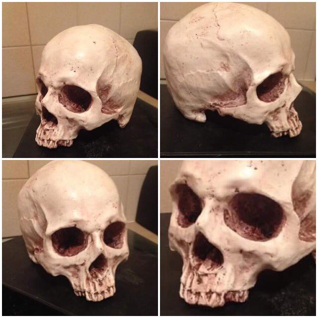 JamesHowgatefx's tweet photo. Resin trophy sculls #airbrush #Handmade #Predators @uk_predators #skull #trophy #gothic https://t.co/hkkwOpKmoH
