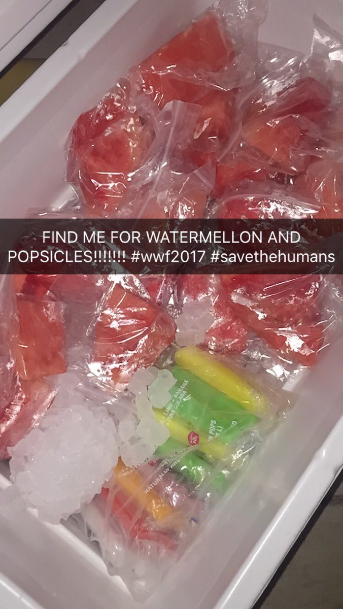 wutitizzz's tweet photo. find me today :) #summerfood #savethehumans #wwf2017 https://t.co/XpCTXGp20o