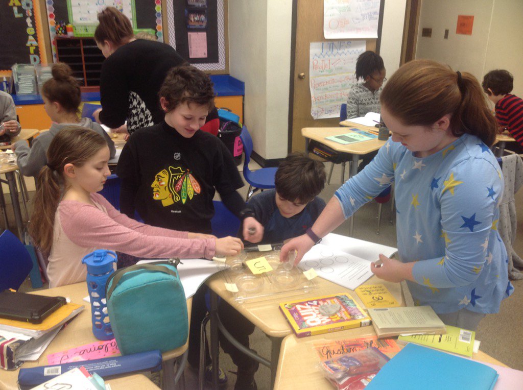 MsDatz's tweet photo. Today students learned about chemical weather by simulating acid rain. https://t.co/B0GXNL1Bl7