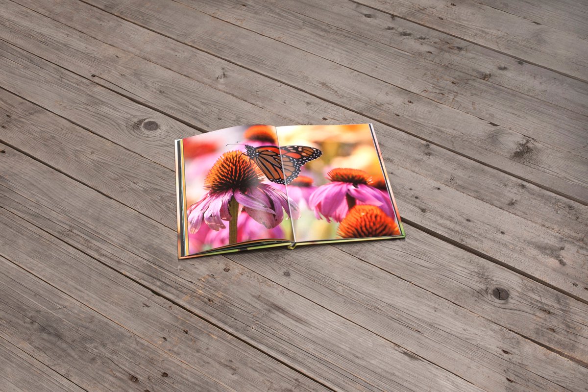 MTAPhotoAlbums's tweet photo. We are showing off our beautiful @CanonUKandIE hdbook on #WorldBookDay #Professionalphotographer #Photoalbums #hdbook https://t.co/jB2WKLVlX8