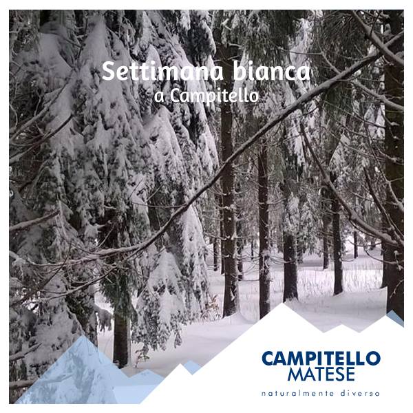 Voglia di settimana bianca? A marzo conviene! Scopri la promozione! > ow.ly/tdB6309t0MA