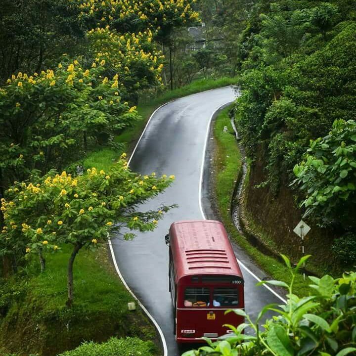ArifeRemo's tweet photo. #NewProfilePic https://t.co/sHoTmj246U