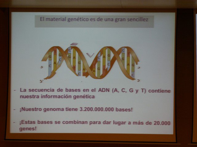 CIPFciencia's tweet photo. La Dra. Gloria González-Aseguinolaza #eerrCIPF2017 #Investigadoras #MujeryCiencia https://t.co/bgBRQWExuh
