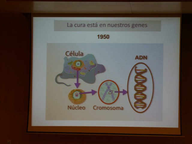 CIPFciencia's tweet photo. La Dra. Gloria González-Aseguinolaza #eerrCIPF2017 #Investigadoras #MujeryCiencia https://t.co/bgBRQWExuh