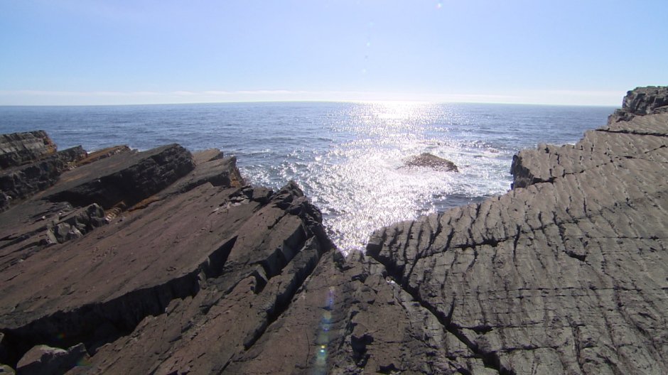 Hundreds turned away from Mistaken Point last year, extra staff needed

cbc.ca/1.4005668