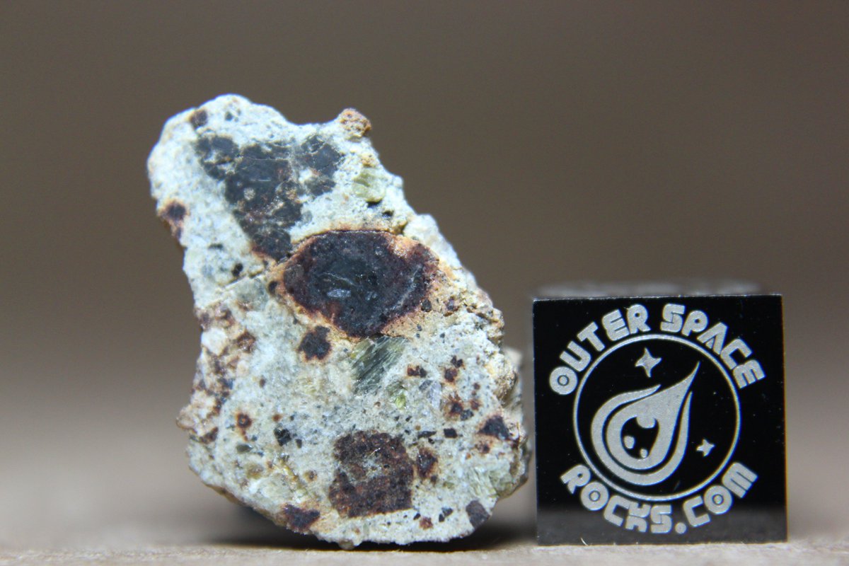 OuterSpaceRocks's tweet photo. NWA 10411 HED Achondrite Howardite Meteorite end cut #VESTA #Meteorite #Howardite #HED #OuterSpaceRocks #meteorites https://t.co/eZsUyVNxRu