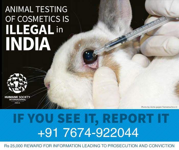 HSI/India on Twitter: HSI/India on Twitter: