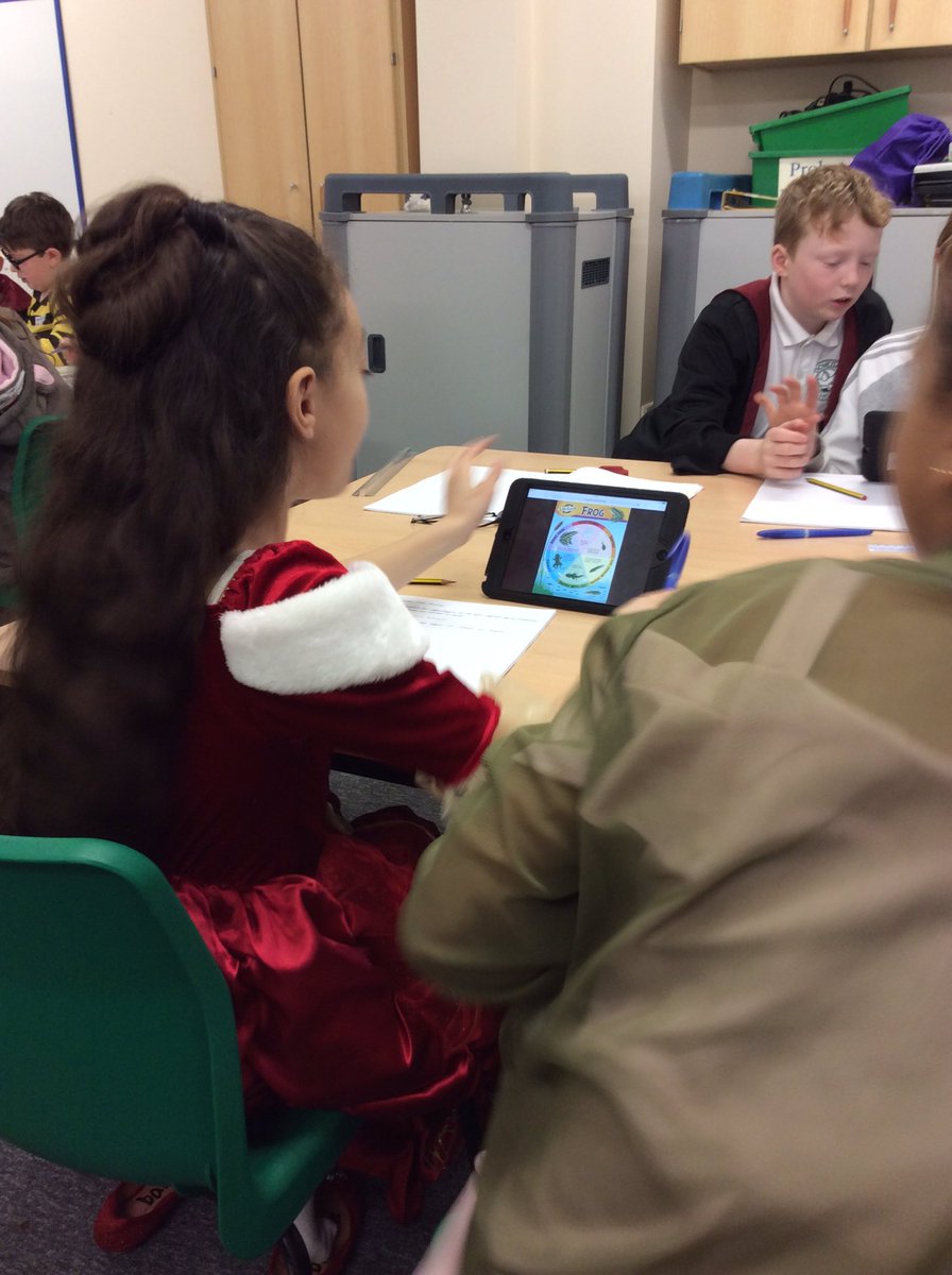 DovedaleY5's tweet image. Some very enthusiastic characters researching the different life cycles of English animals #miniscientists #bestdressedclass #5B