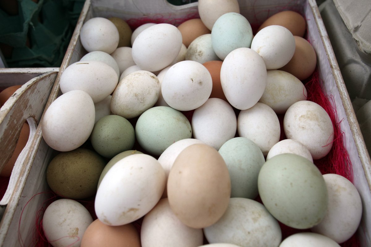 Tomorrow is #FarmersMarket day in #York! Pick up #quality, #fresh #localproduce from #YorkshireFarmers in St. Sampson's Square from 9am-4pm.