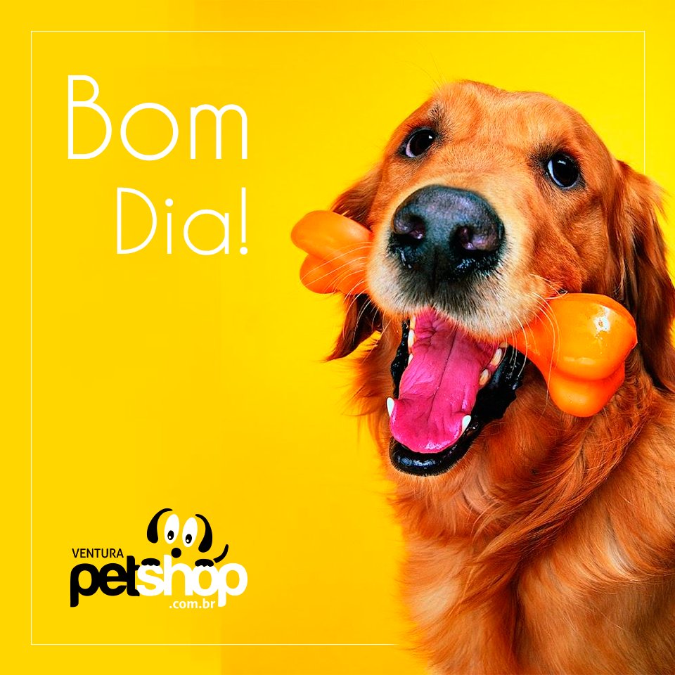 MPO Ventura PetShop on Twitter: MPO Ventura PetShop on Twitter: