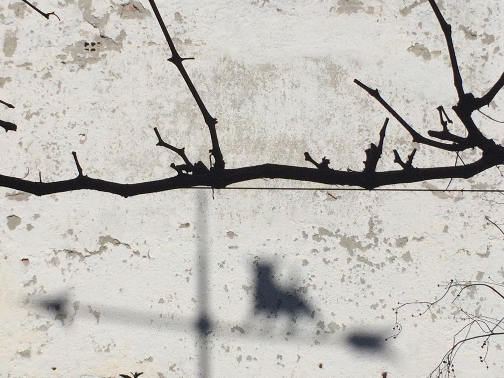 Primer Oeste de Marzo