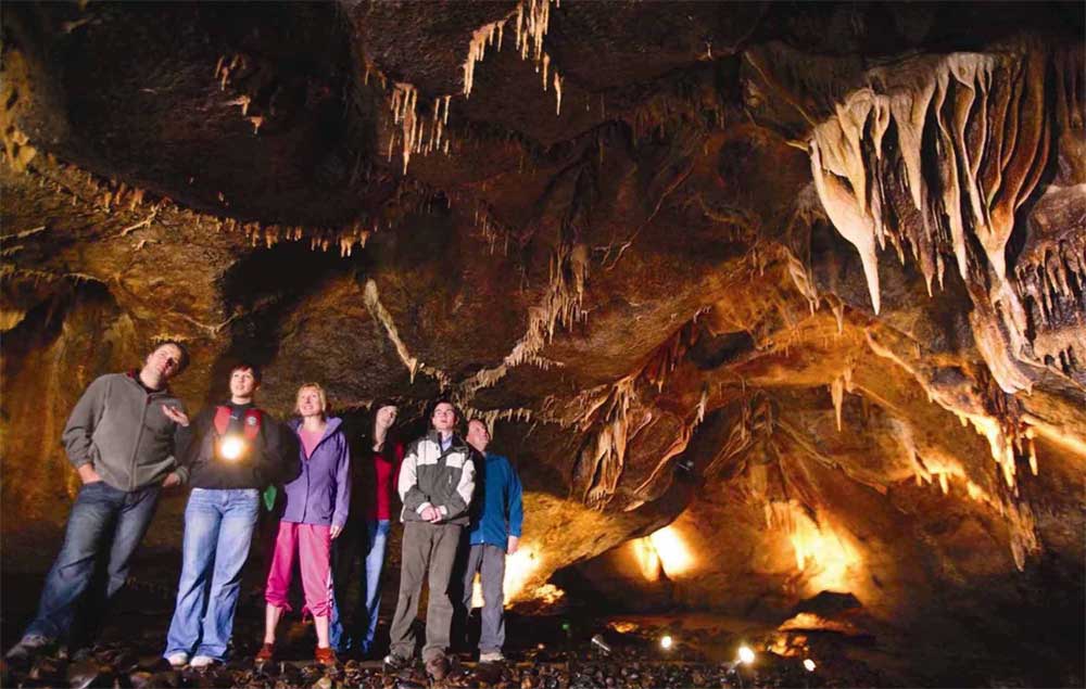 Irish History Bitesize! tweet media