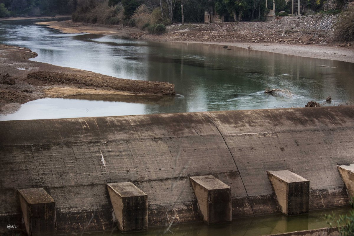 yoipuntosoy's tweet image. #VILA_REAL
#RUTABOTANICA
#PANTANET
#MILLARS